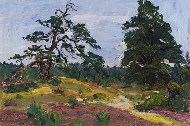 Max Slevogt Heide und Baume oil painting picture